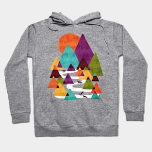 Fox Playground Hoodie